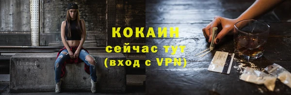 крисы Беломорск