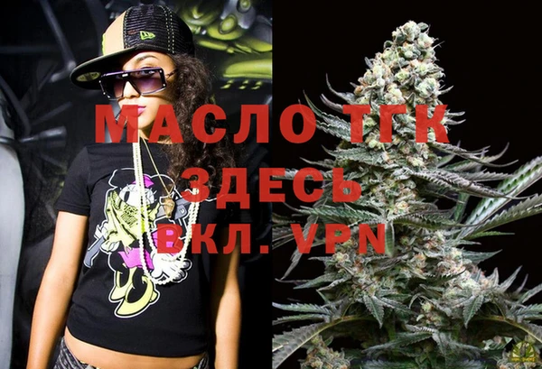 гидра Пестово