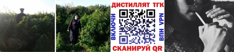 блэк спрут ссылка  Мглин  сайты даркнета официальный сайт  ТГК THC oil 